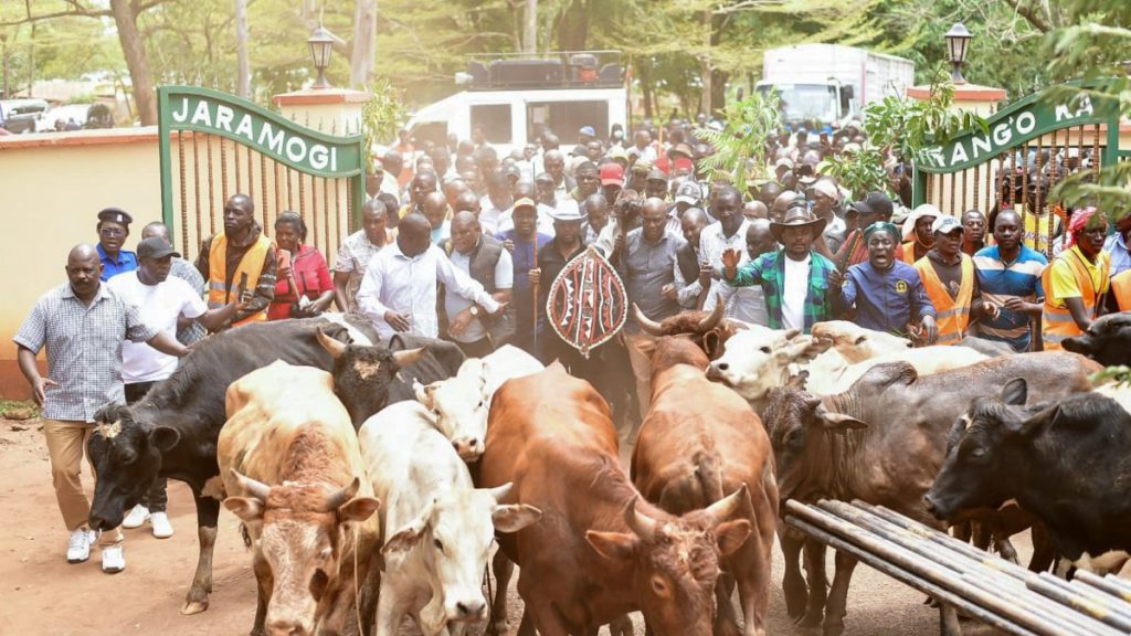 Raila Odinga Opoda Farm
