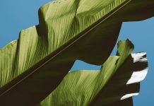 US former diplomat arrives in Taiwan, calls it ‘great nation’