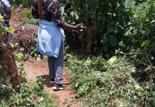 Karatina Authorities Clear Illegal Bush Lodging Site