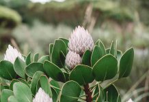 Benioff touts Salesforce’s sales guidance, ‘$30 billions are ahead of us’