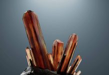 Ramping cut almost in half in last four months, SA government says