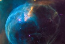 Taiwan president to donate salary for Ukraine relief efforts